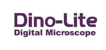 Dino Lite Logo